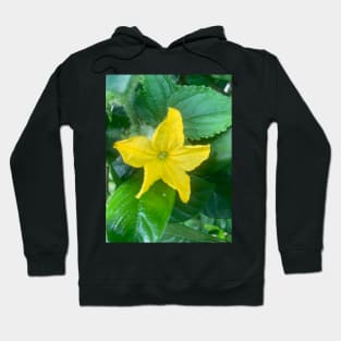 Cucumber flower Hoodie